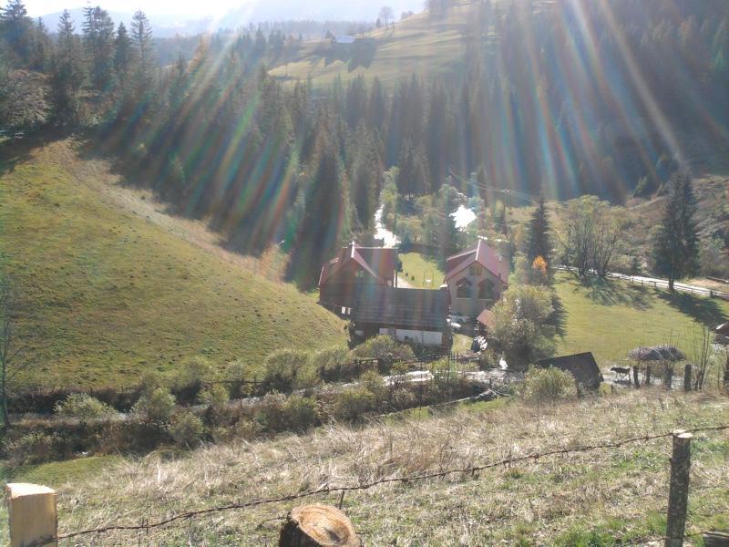 Pensiunea Sofy Arieşeni Exterior foto